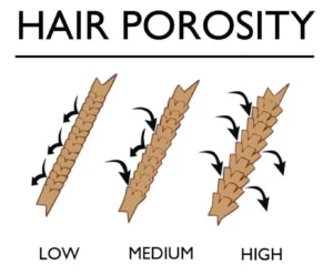 Understanding Low Porosity Hair