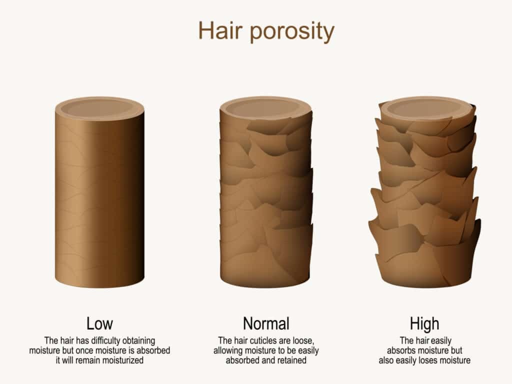 Low Porosity Hair